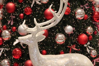 Christmas in Norwich!