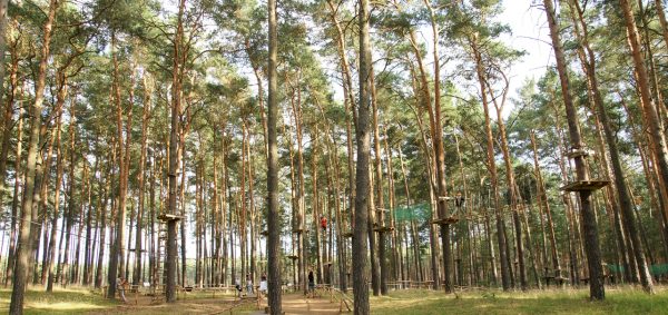 Go Ape Firs Glamping